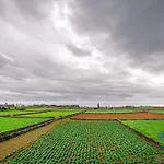 Casa Dos Calcos 3*